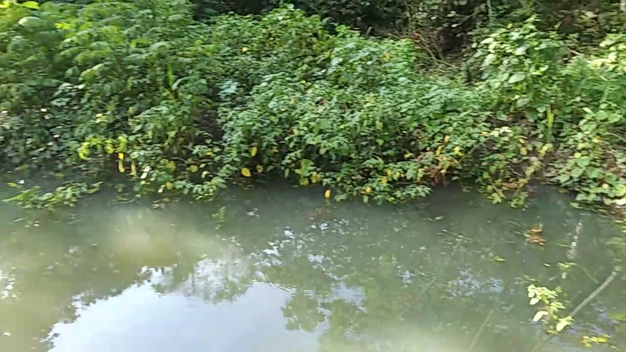 Artificial pond