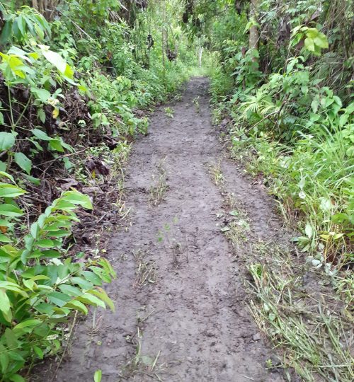 Trails