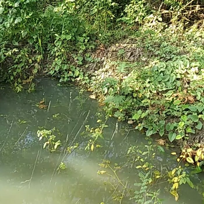 Artificial pond 3 Artificial pond 3